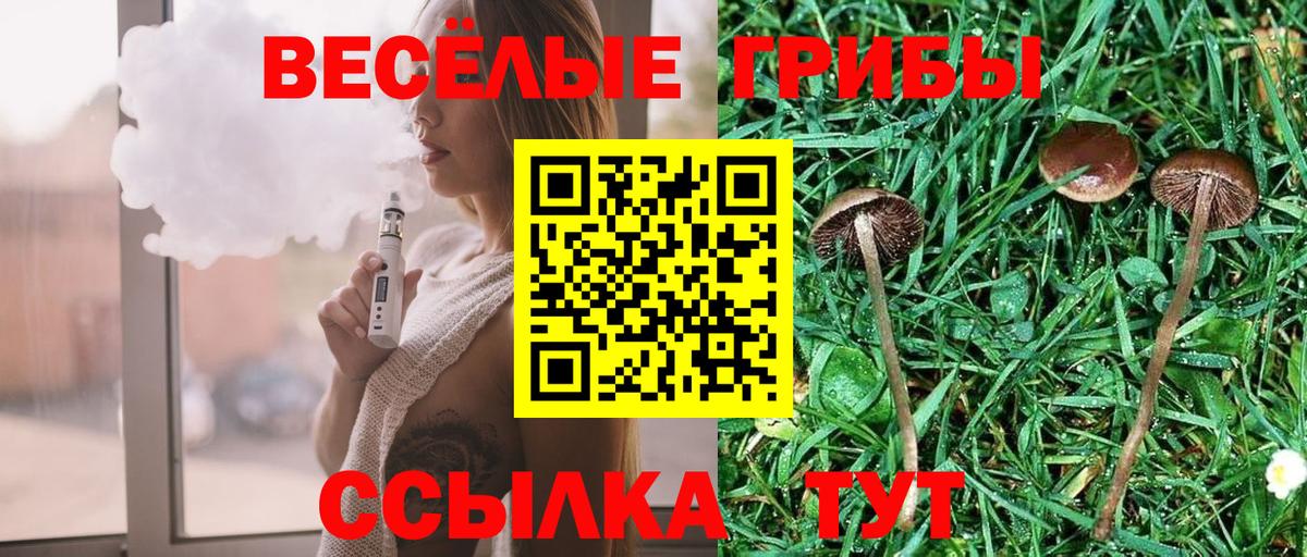Галлюциногенные грибы мицелий Надым